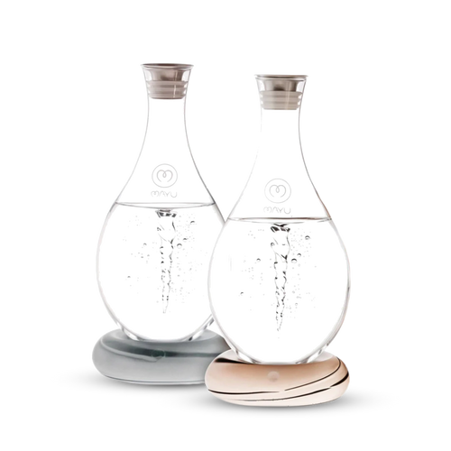 The Mayu Water Swirl Structured Water Carafe - Pack of 2 features handblown borosilicate glass carafes with grey and white bases, narrow necks, silver lids, and are shown side by side against a white background.