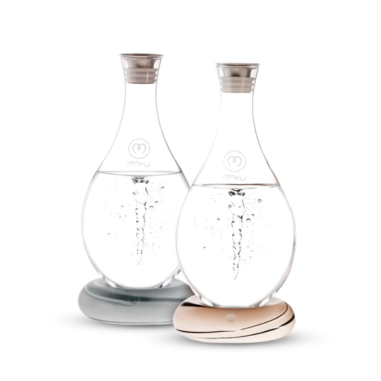 The Mayu Water Swirl Structured Water Carafe - Pack of 2 features handblown borosilicate glass carafes with grey and white bases, narrow necks, silver lids, and are shown side by side against a white background.