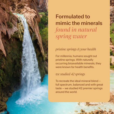 Trace Mineral & Electrolyte Drops Sampler Kit