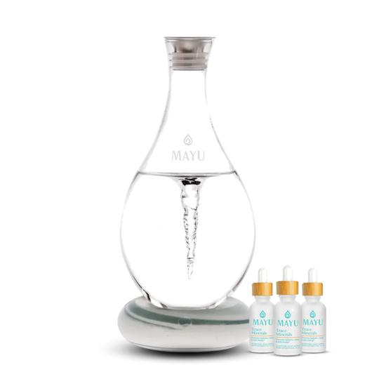 Best Selling Starter Kit