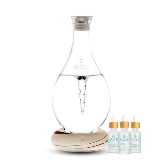 Best Selling Starter Kit